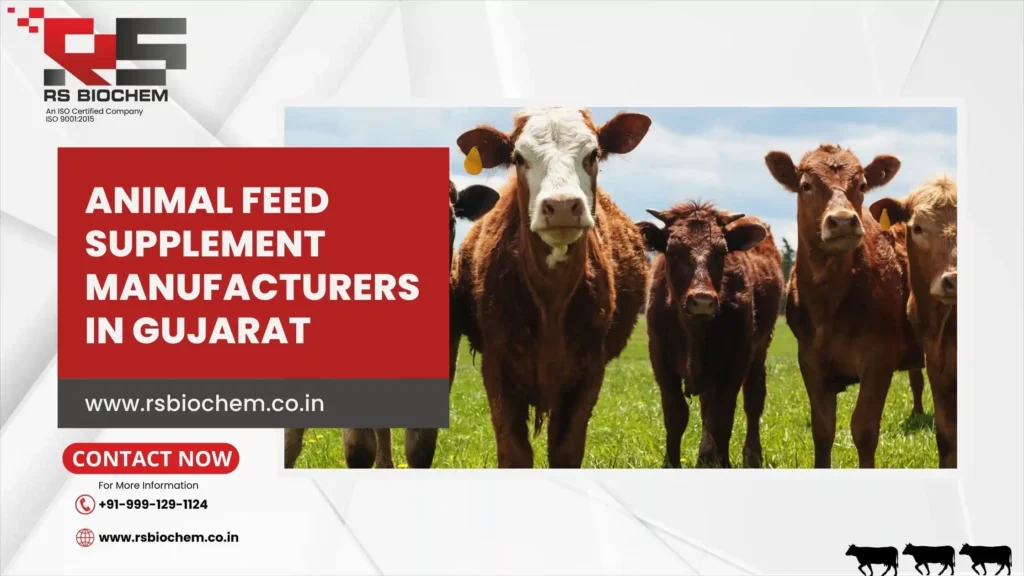 animal feed supplement manufacturers in Gujarat
